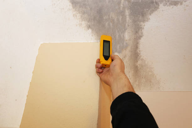 Asbestos and Lead Testing During Mold Inspection in Bethel Island, CA