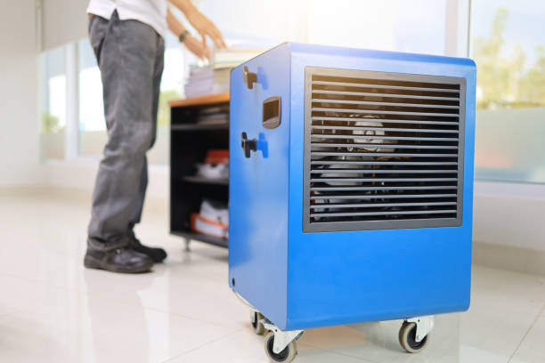Mold Documentation for Insurance Claims in Bethel Island, CA